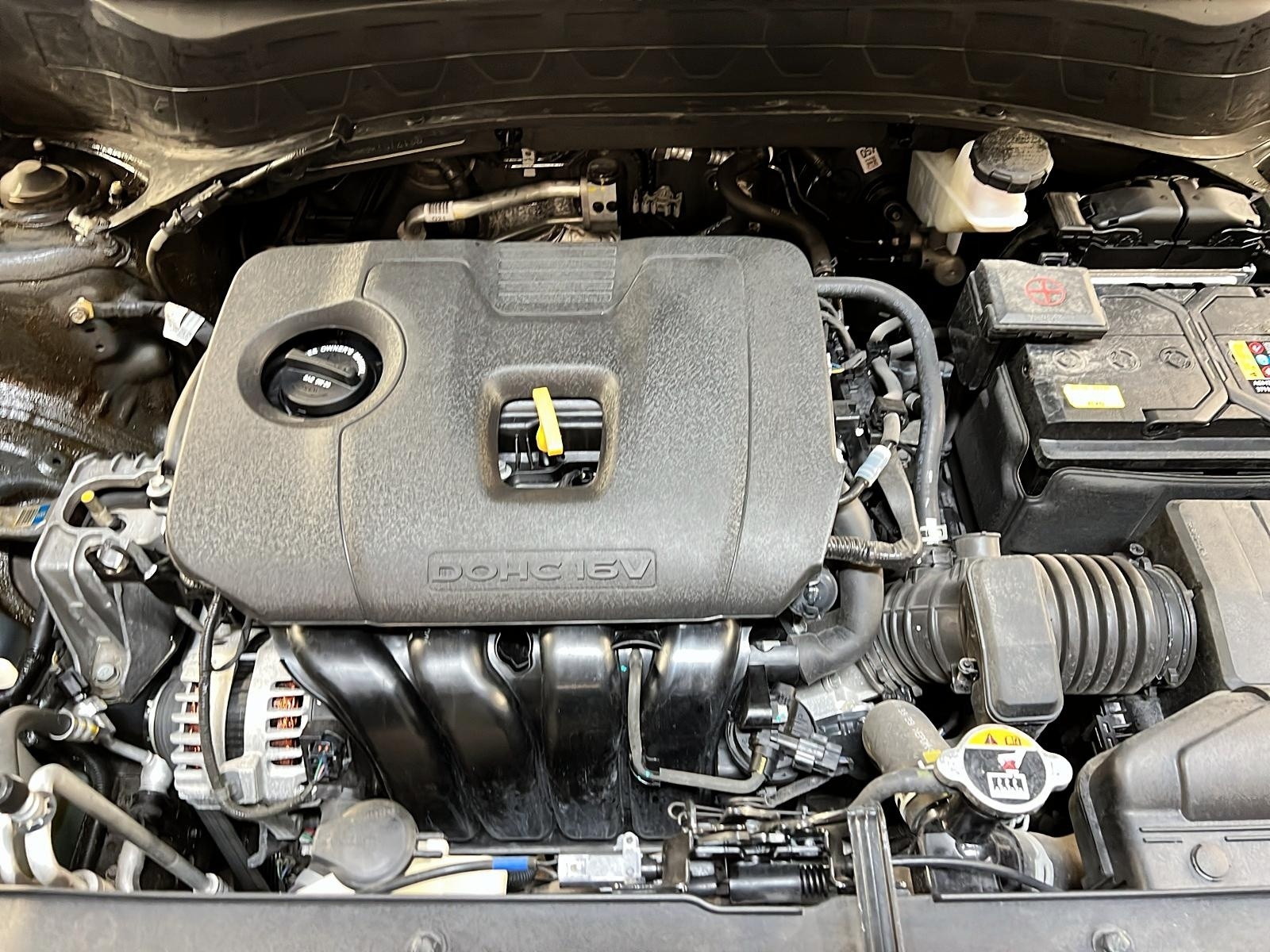 Kia SELTOS EX PREMIUM CUIR TOIT NAV 4RM 2024 - image #12