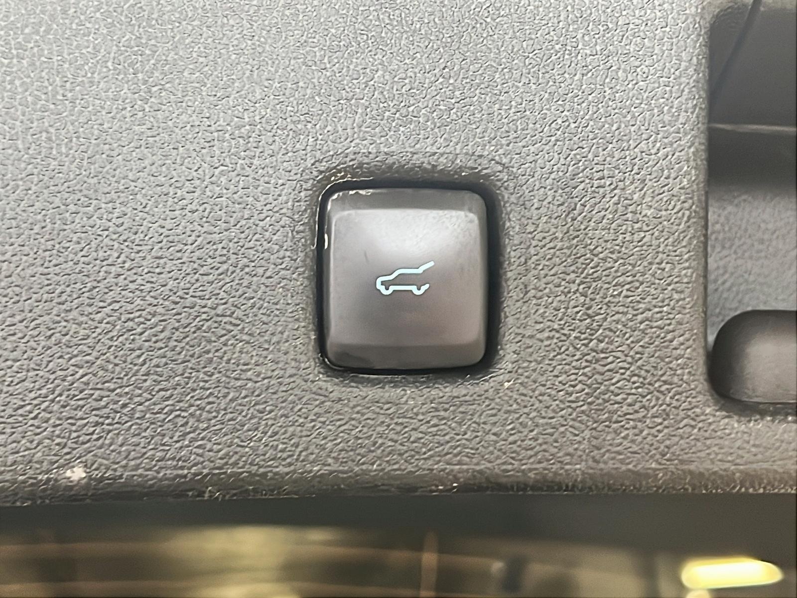 Ford Escape ST LINE TECH TOIT PANO NAV 4RM 2024 - image #14