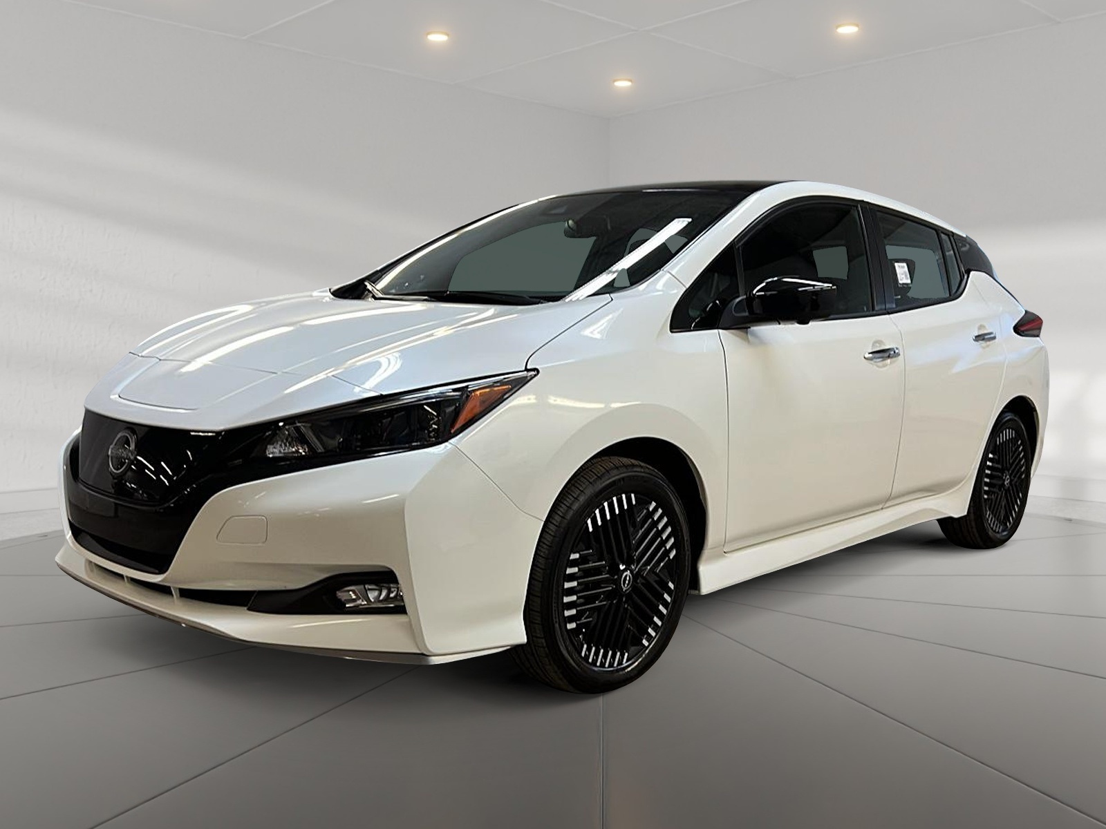 Nissan Leaf SV PLUS NAV 2025 - image #1