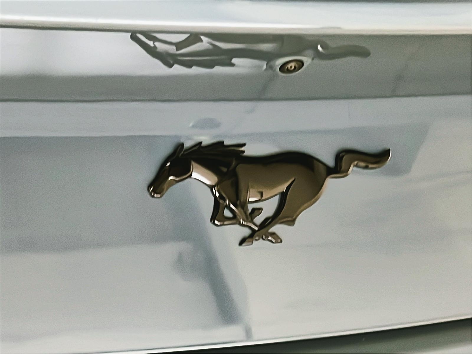 Ford Mustang ECOBOOST COUPE PREMIUM ENSEMBLE PONY CUIR NAV 2024 - image #26