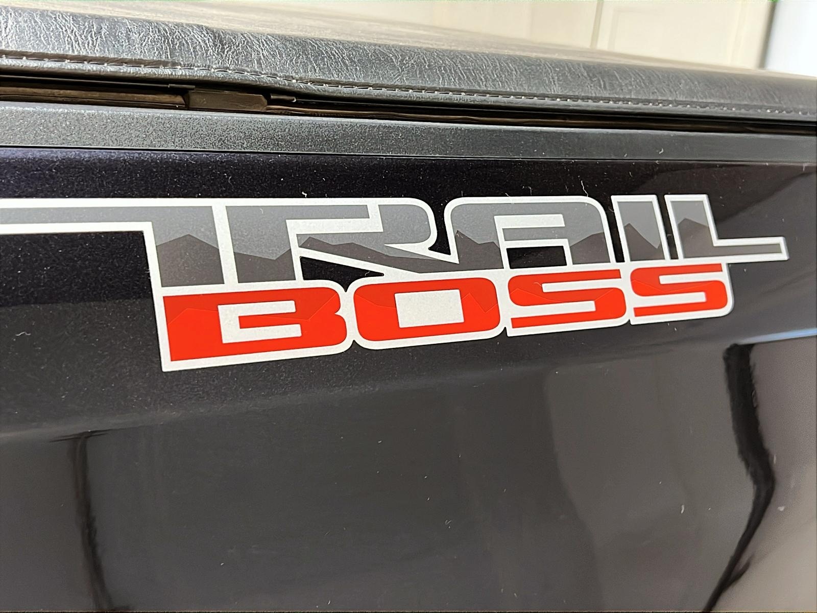 Chevrolet Silverado 1500 CUSTOM TRAIL BOSS Z71 CREW CAB 4X4 2024 - image #24