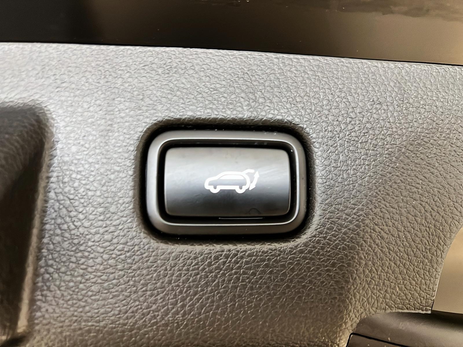 Kia SELTOS 2024 - Image #14