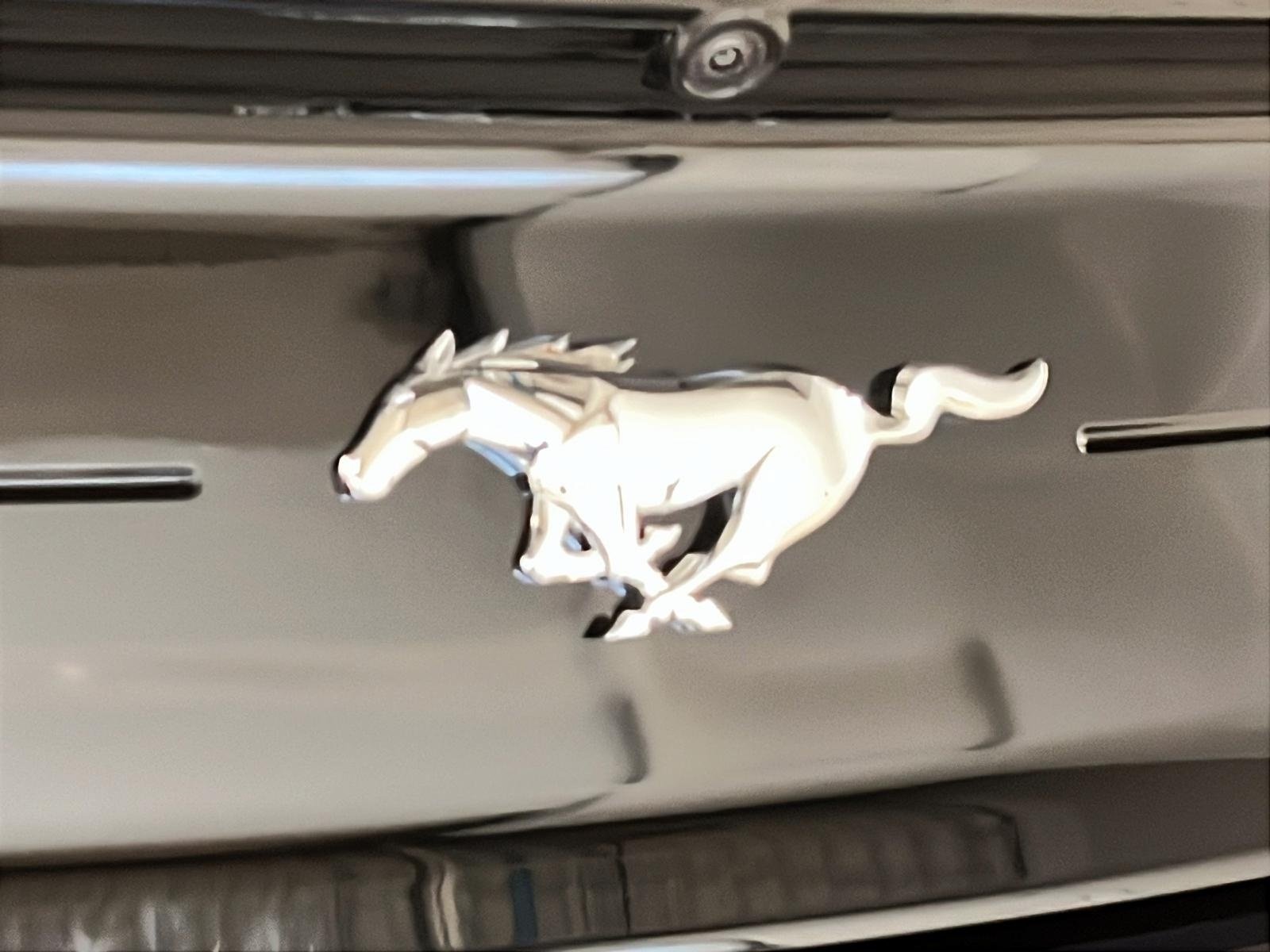 Ford Mustang 2021 - Image #28