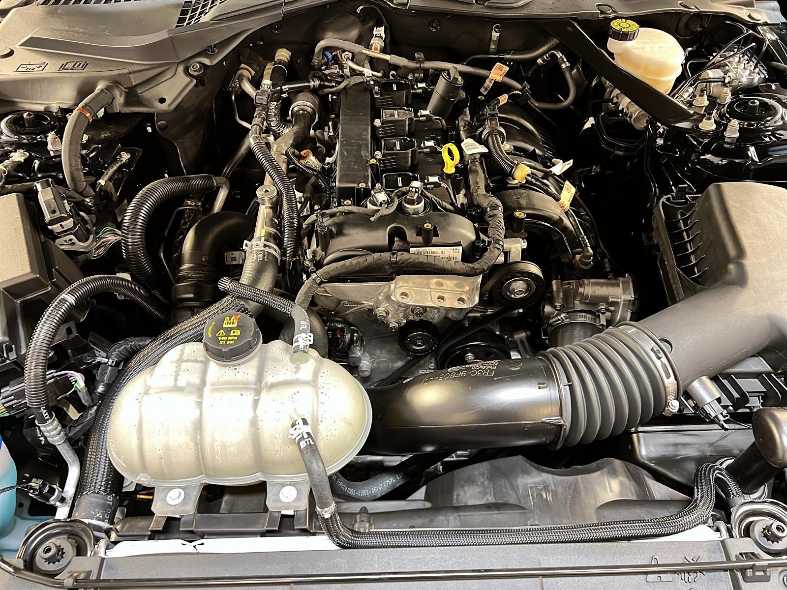 Ford Mustang ECOBOOST CONVERTIBLE PREMIUM CUIR 2021 - image #13