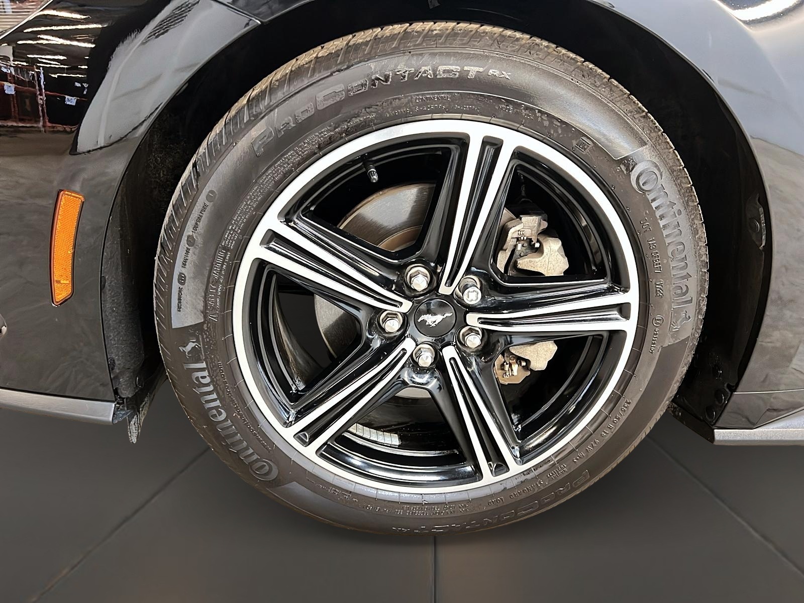 Ford Mustang 2024 - Image #25