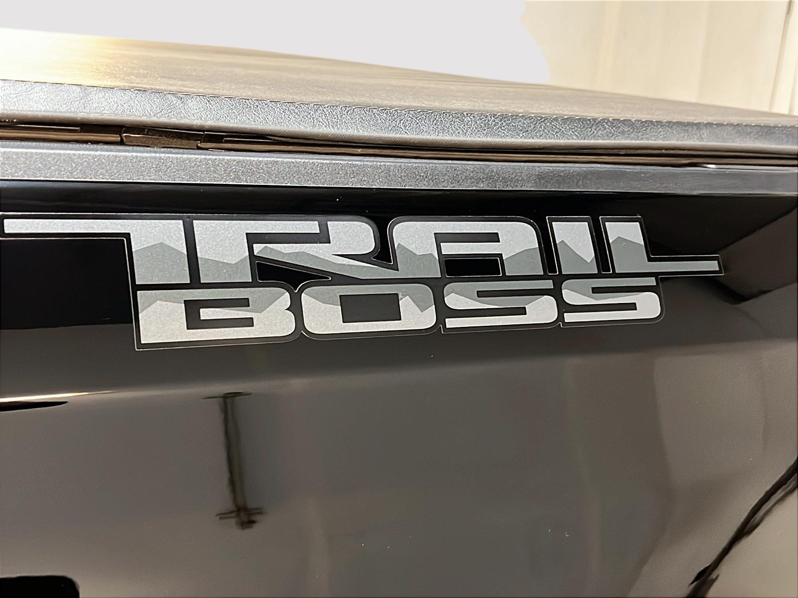 Chevrolet Silverado 1500 2025 - Image #25