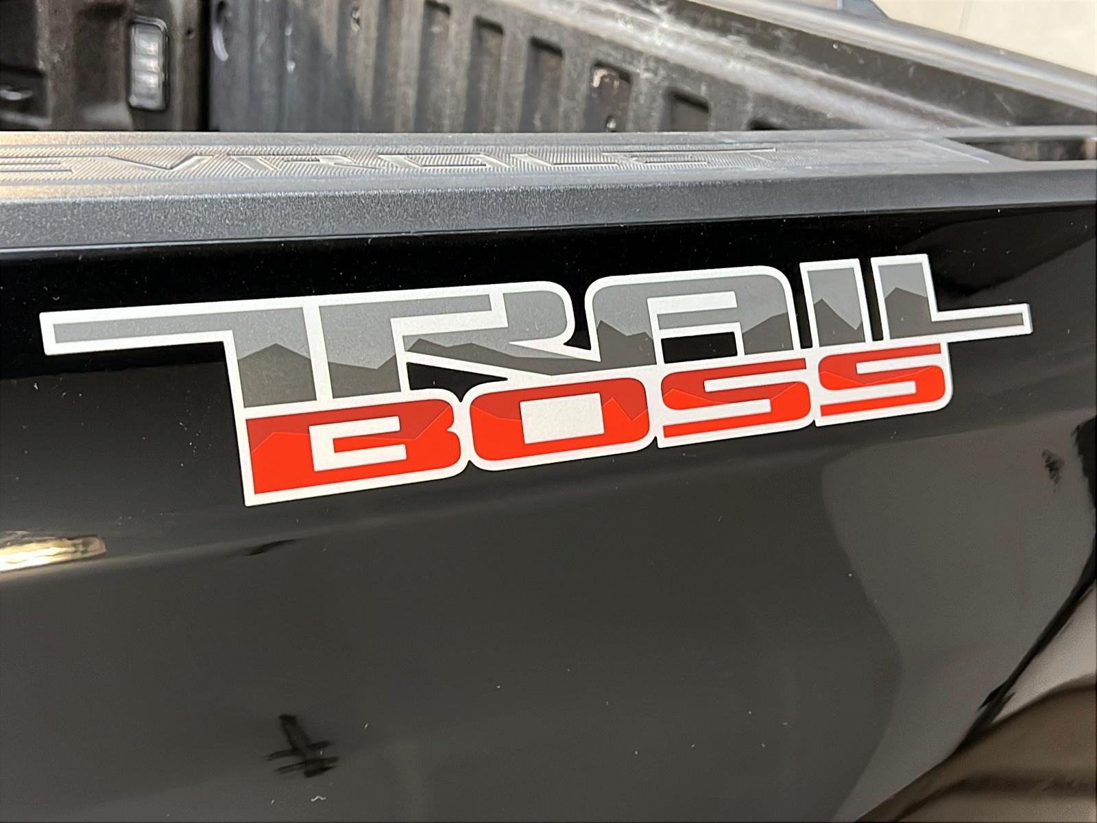 Chevrolet Silverado 1500 CUSTOM TRAIL BOSS Z71 CREW CAB 4X4 2023 - image #23