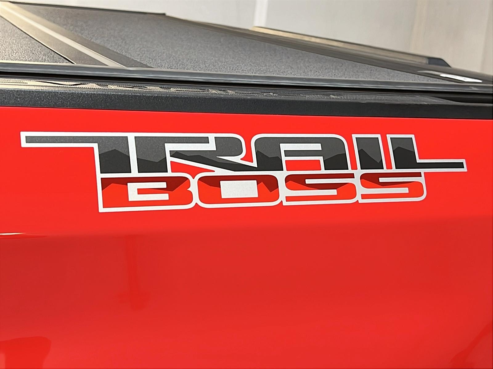 Chevrolet Silverado 1500 2023 - Image #27