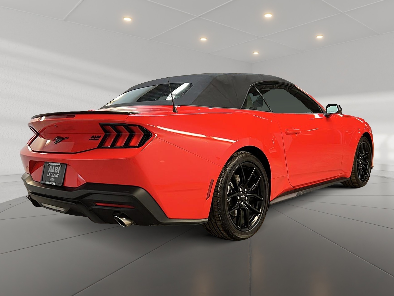 Ford Mustang ECOBOOST ENSEMBLE PONY CONVERTIBLE 2024 - image #5