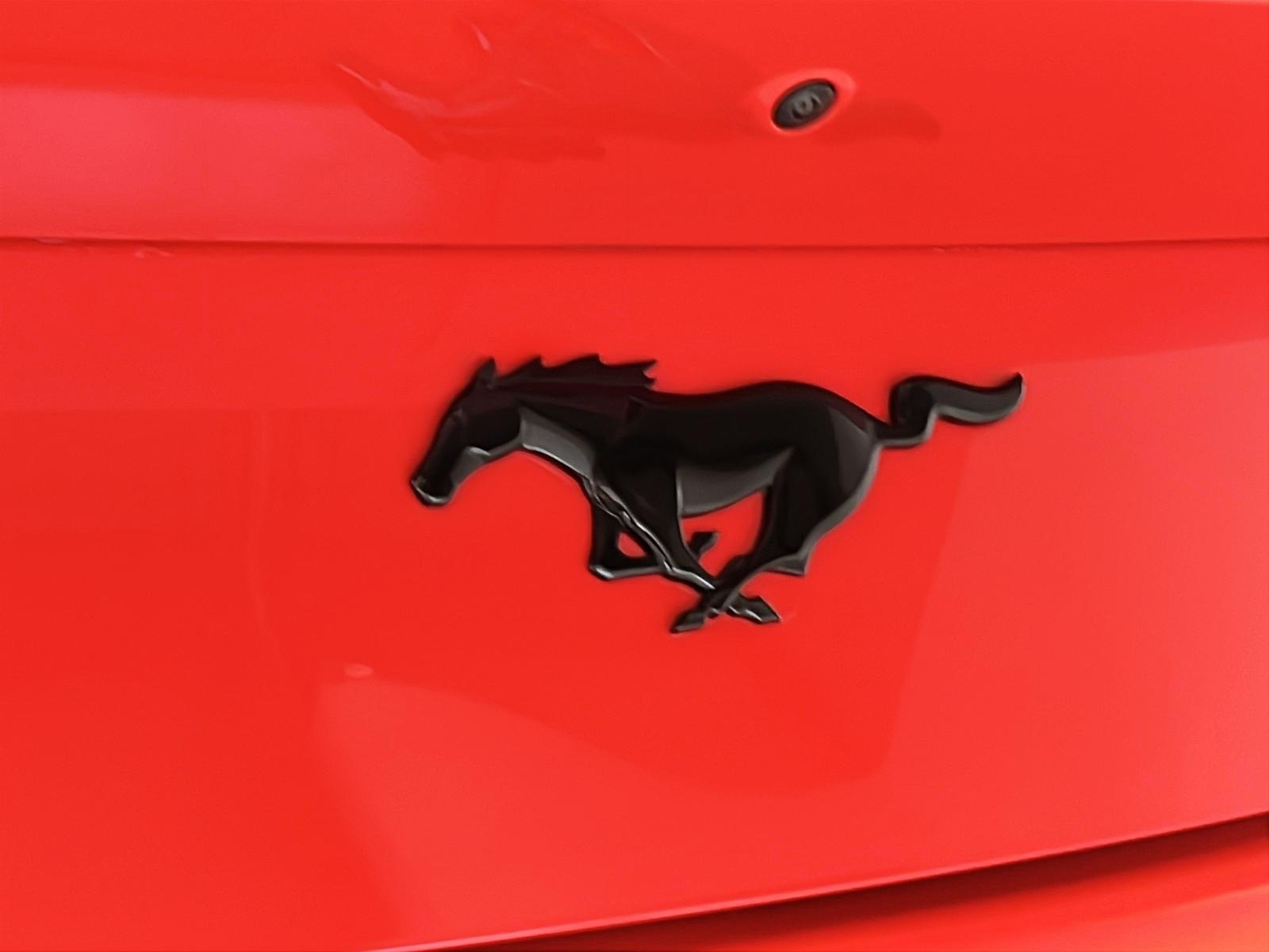 Ford Mustang ECOBOOST ENSEMBLE PONY CONVERTIBLE 2024 - image #27