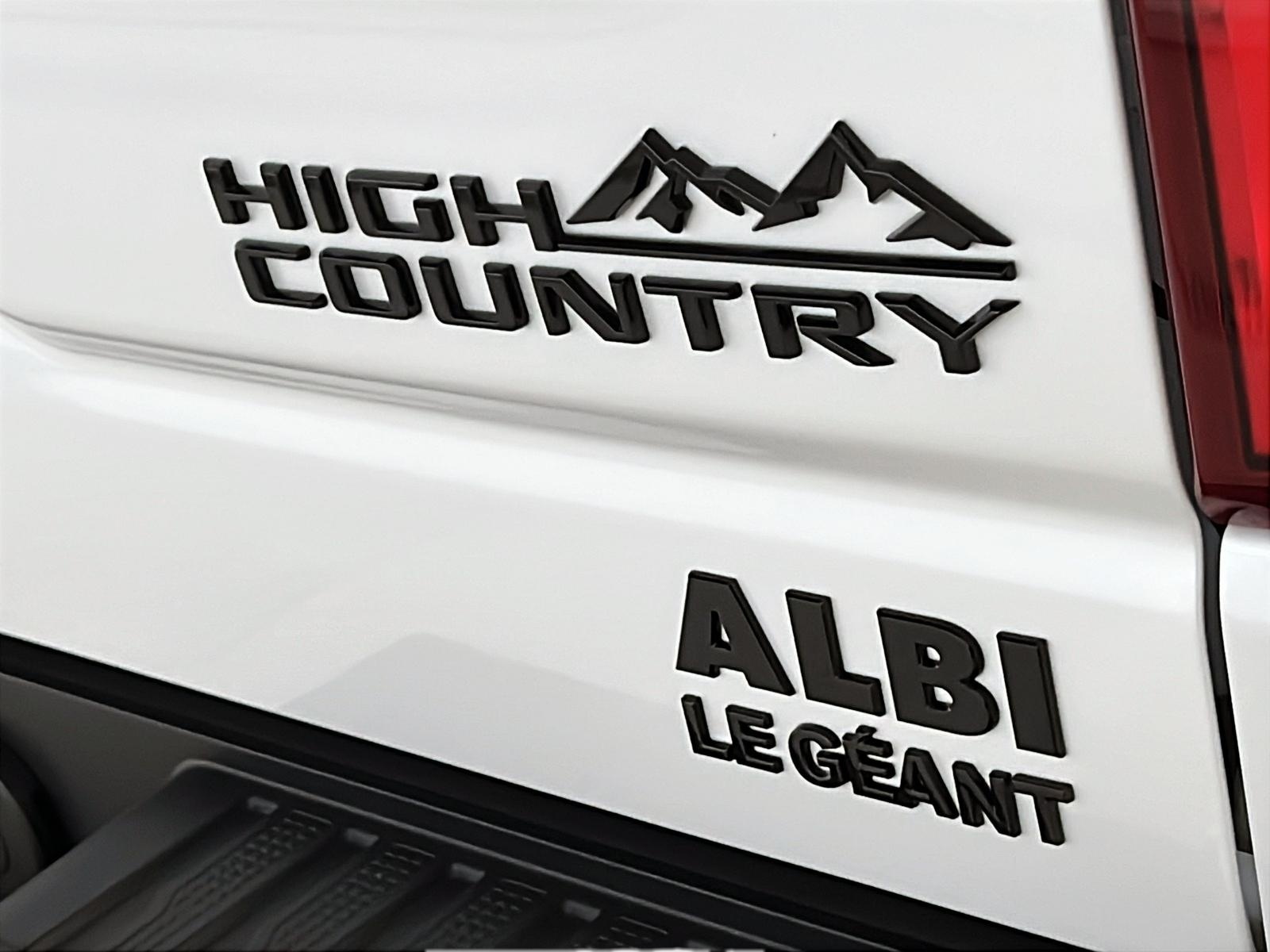 Chevrolet Silverado 1500 2023 - Image #31