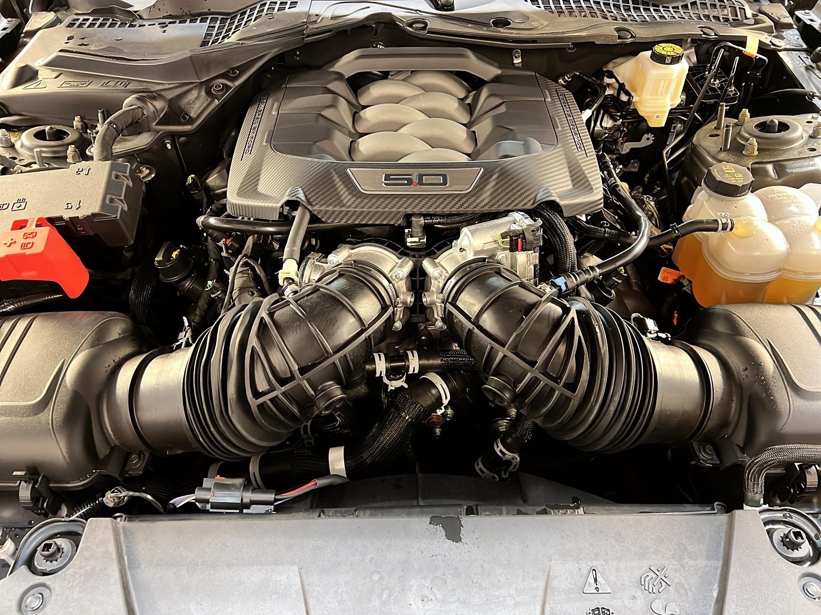 Ford Mustang GT COUPE 2025 - image #11