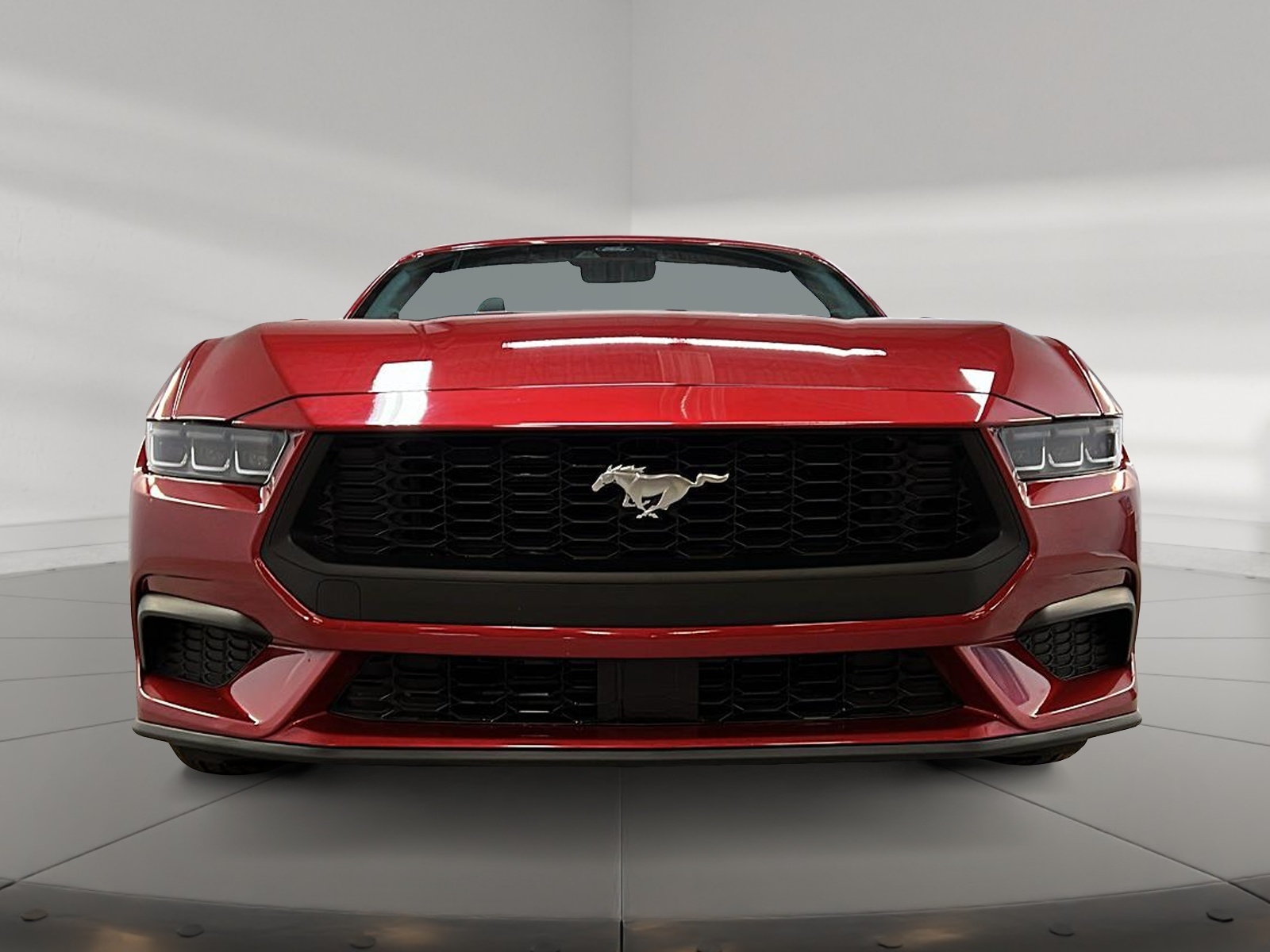 Ford Mustang ECOBOOST CONVERTIBLE 2024 - image #8