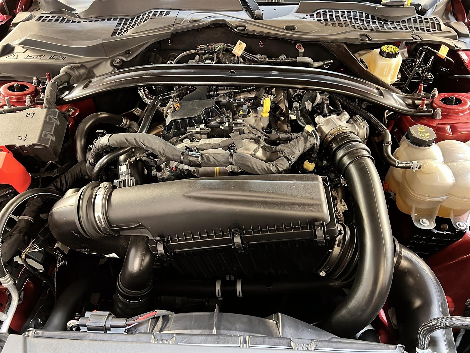 Ford Mustang ECOBOOST CONVERTIBLE 2024 - image #14