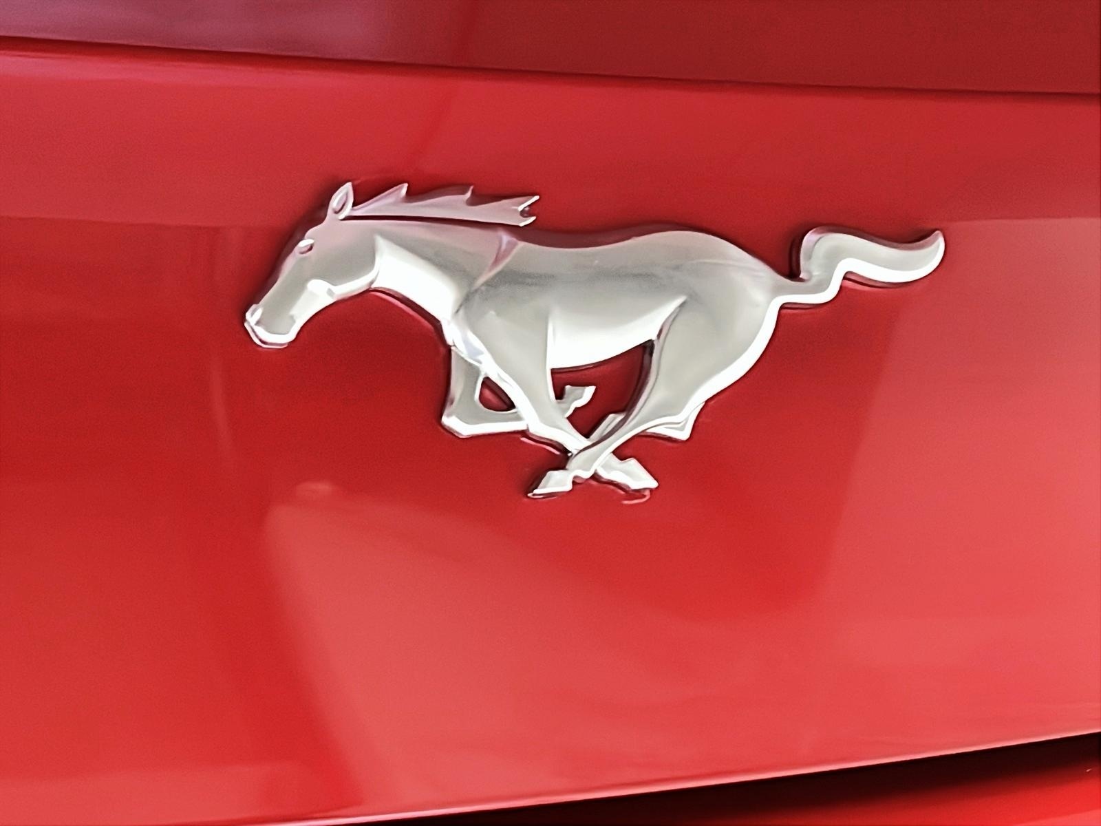 Ford Mustang ECOBOOST CONVERTIBLE 2024 - image #28