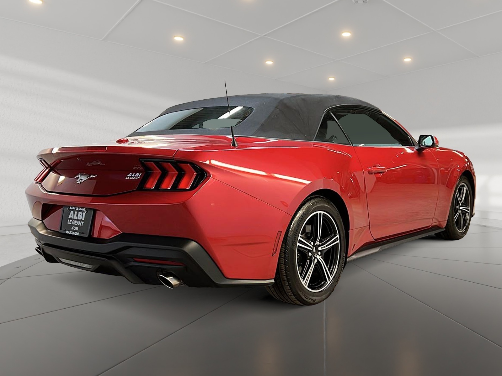 Ford Mustang ECOBOOST CONVERTIBLE 2024 - image #5