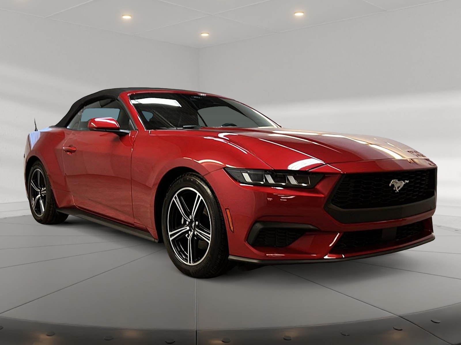 Ford Mustang ECOBOOST CONVERTIBLE 2024 - image #4