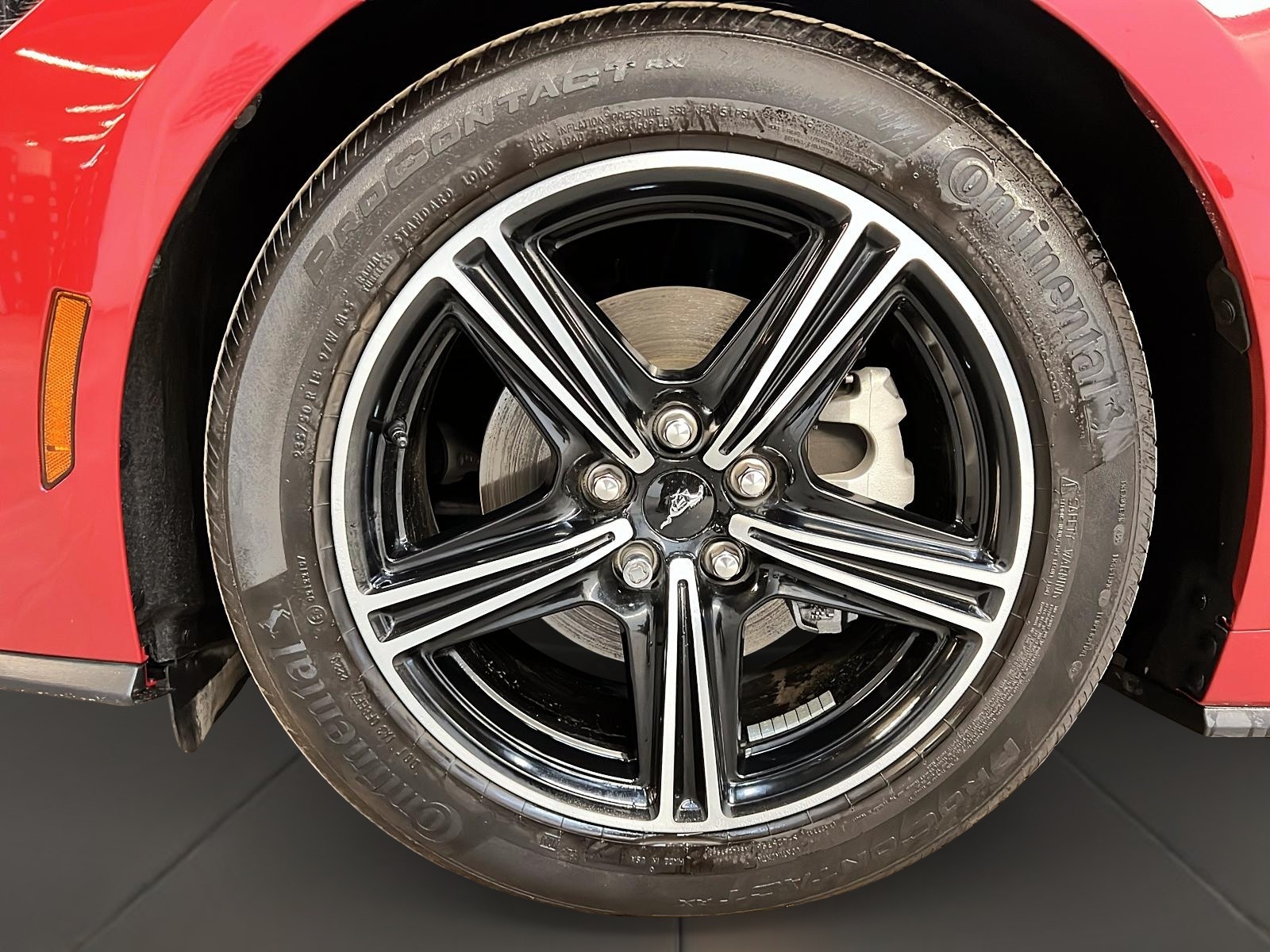 Ford Mustang ECOBOOST CONVERTIBLE 2024 - image #29