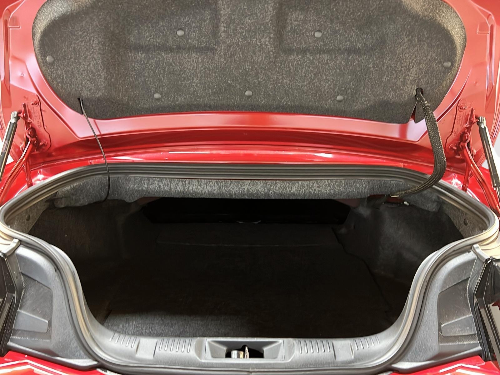 Ford Mustang ECOBOOST CONVERTIBLE 2024 - image #15