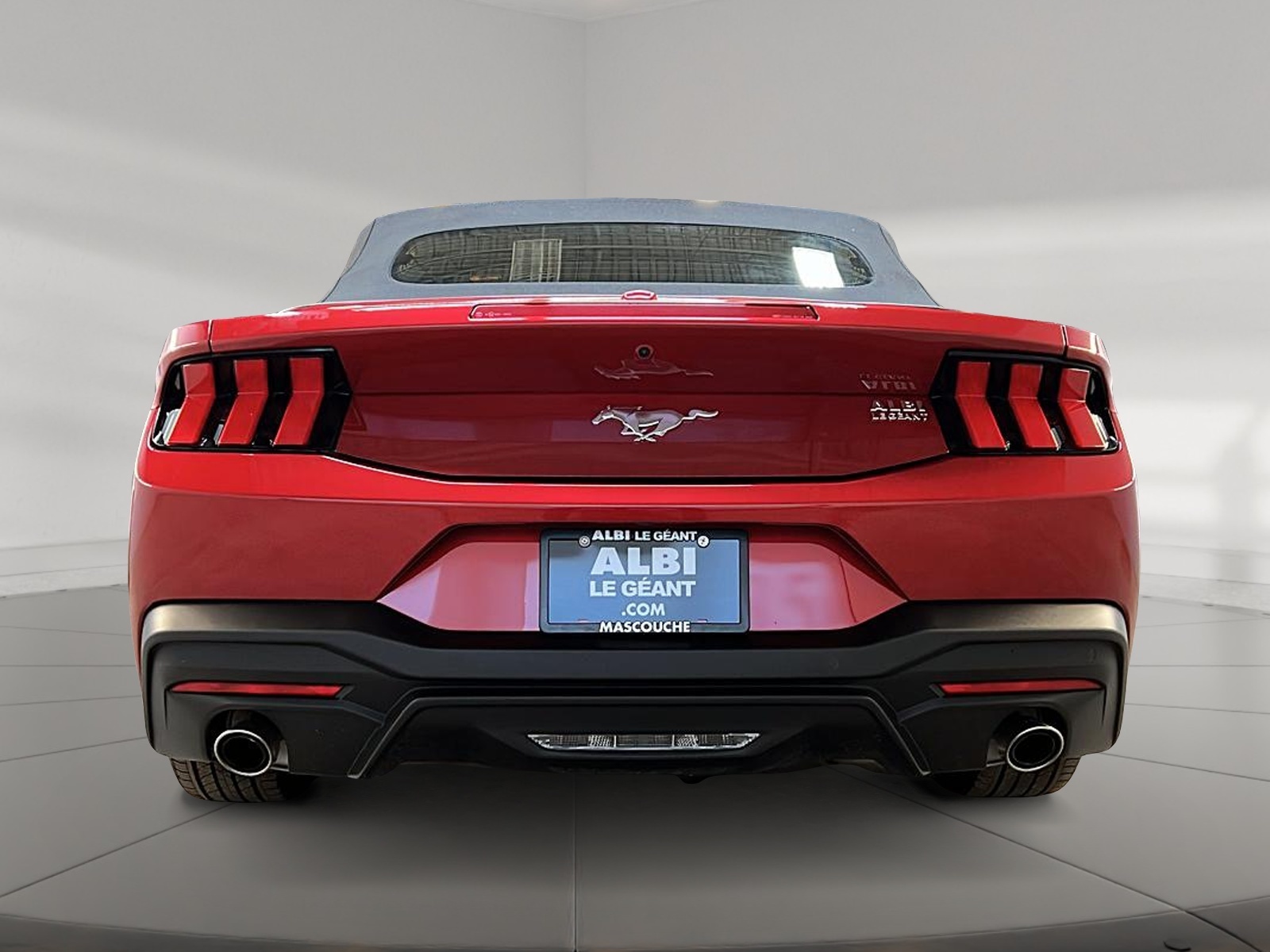 Ford Mustang ECOBOOST CONVERTIBLE 2024 - image #6