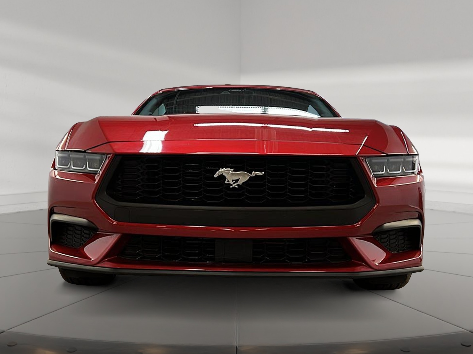 Ford Mustang ECOBOOST CONVERTIBLE 2024 - image #3