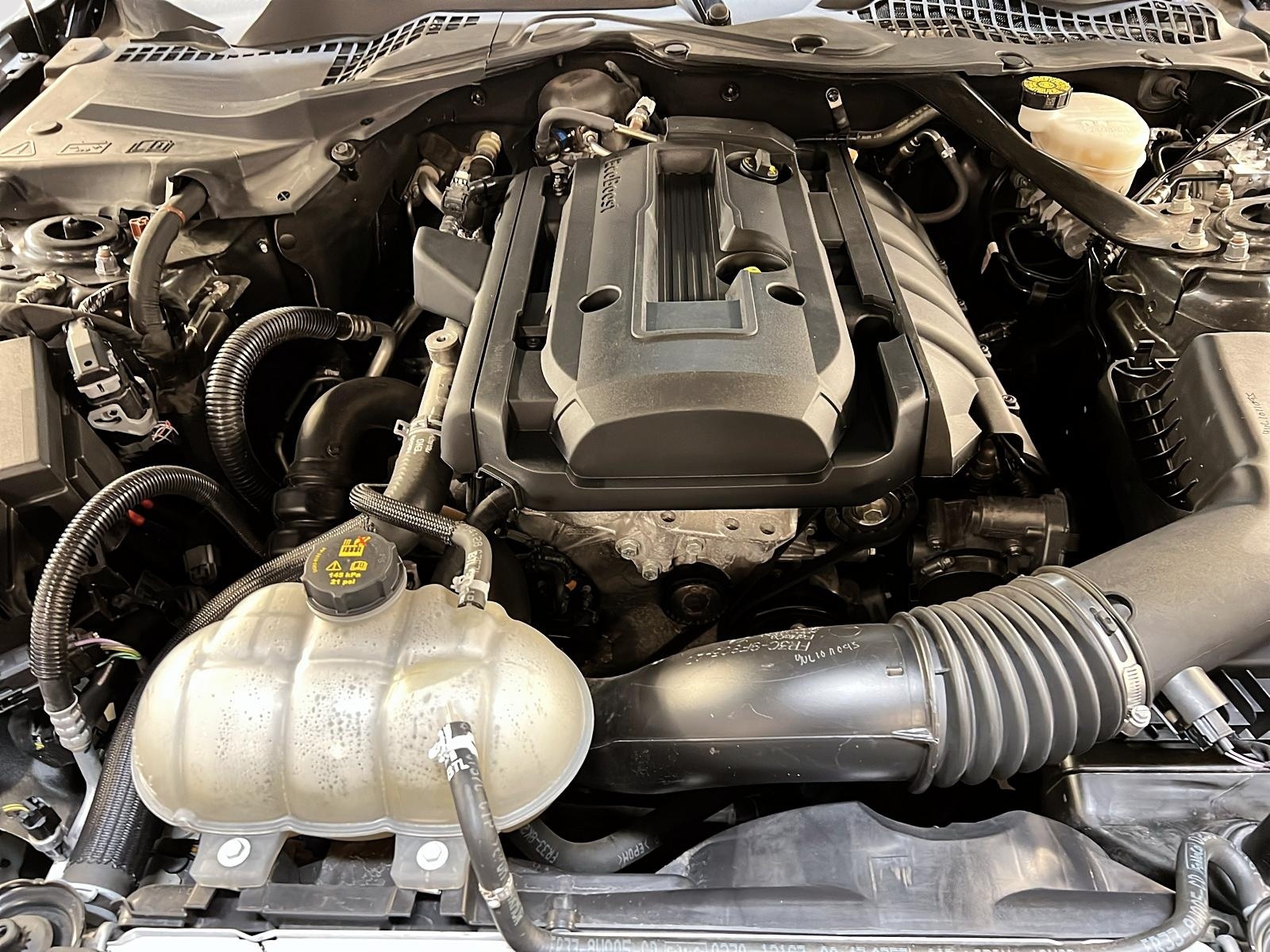 Ford Mustang ECO PREMIUM CONVERTIBLE CUIR NAV 2020 - image #14