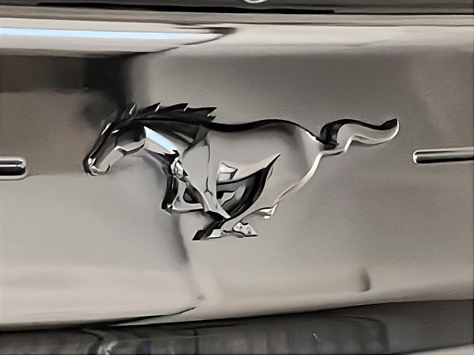 Ford Mustang 2020 - Image #29