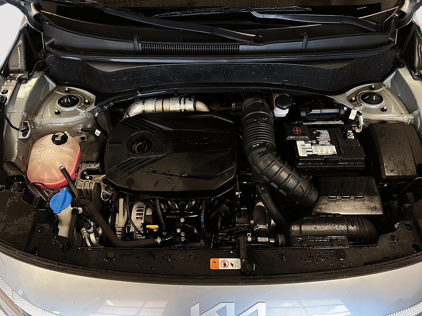 Kia SELTOS SX TURBO CUIR TOIT NAV 4RM 2022 - image #12