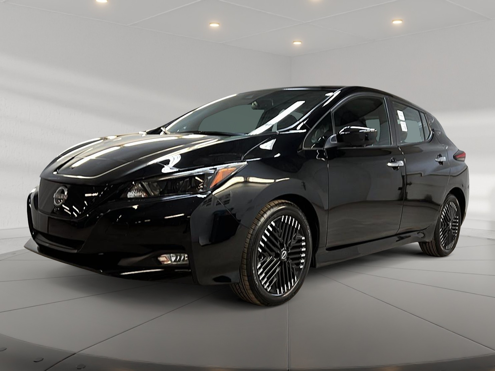 Nissan Leaf SV NAV 2025 - image #1