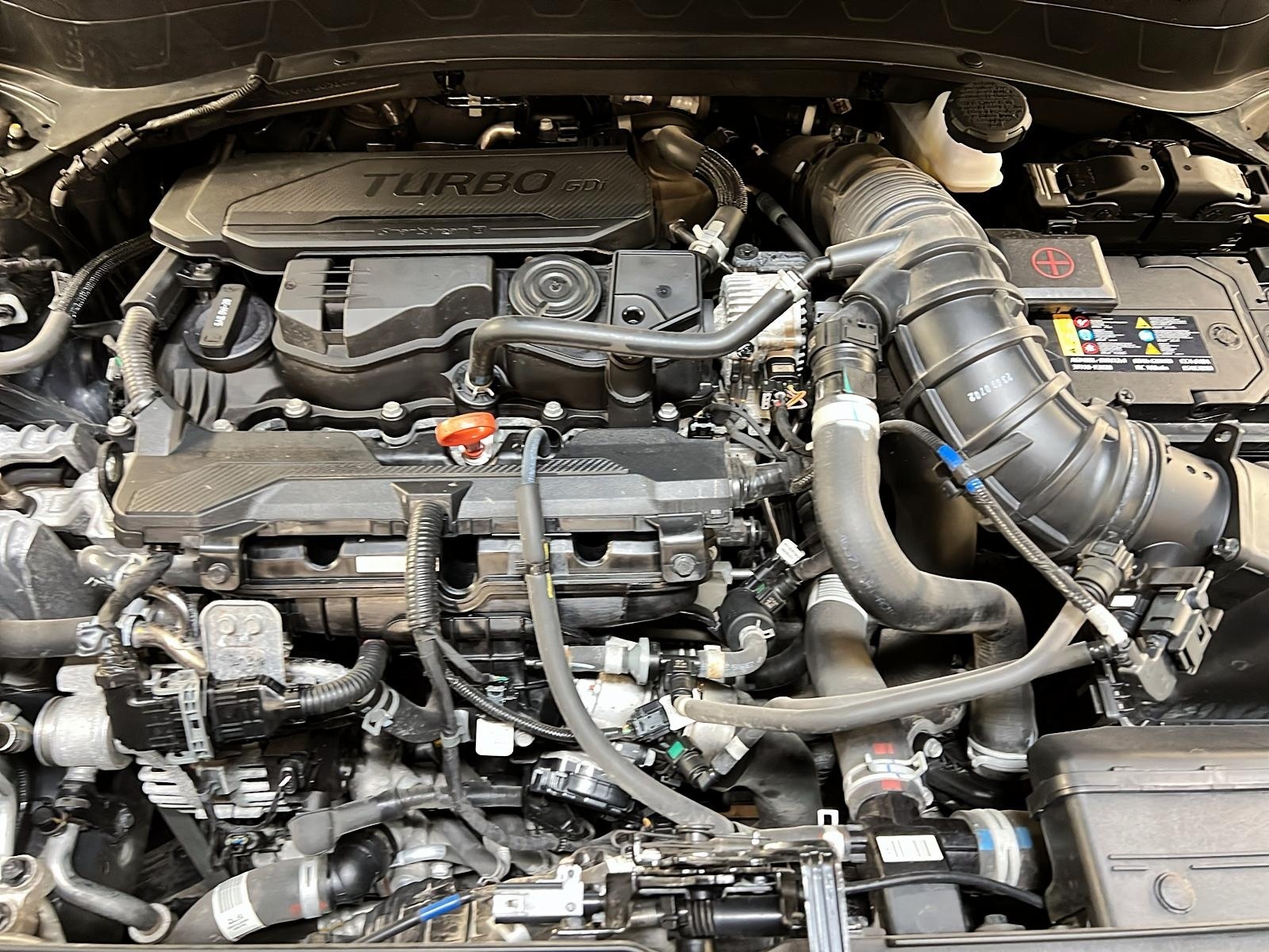 Kia SELTOS SX TURBO CUIR TOIT NAV 4RM 2024 - image #12