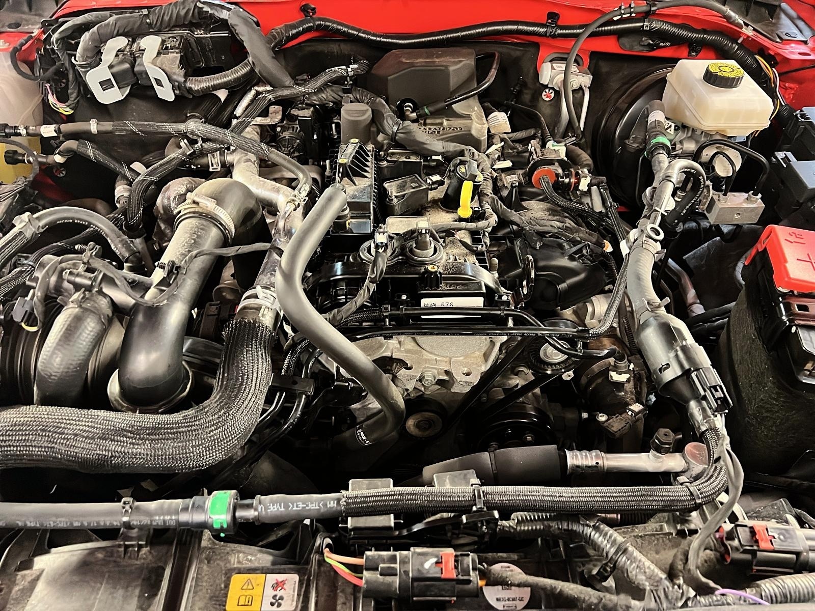 Ford Bronco 2024 - Image #11