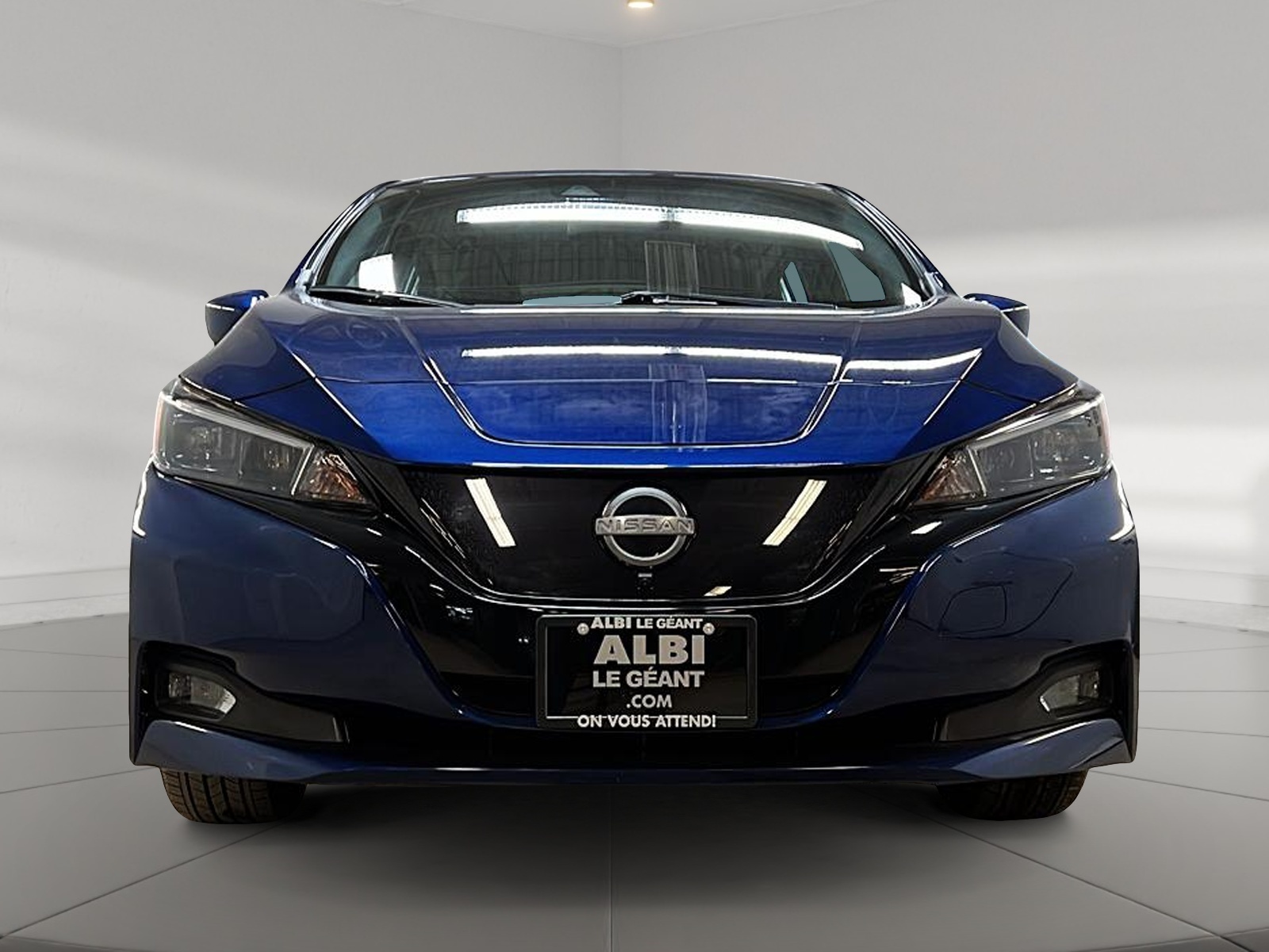 Nissan Leaf SV NAV 2023 — photo 2