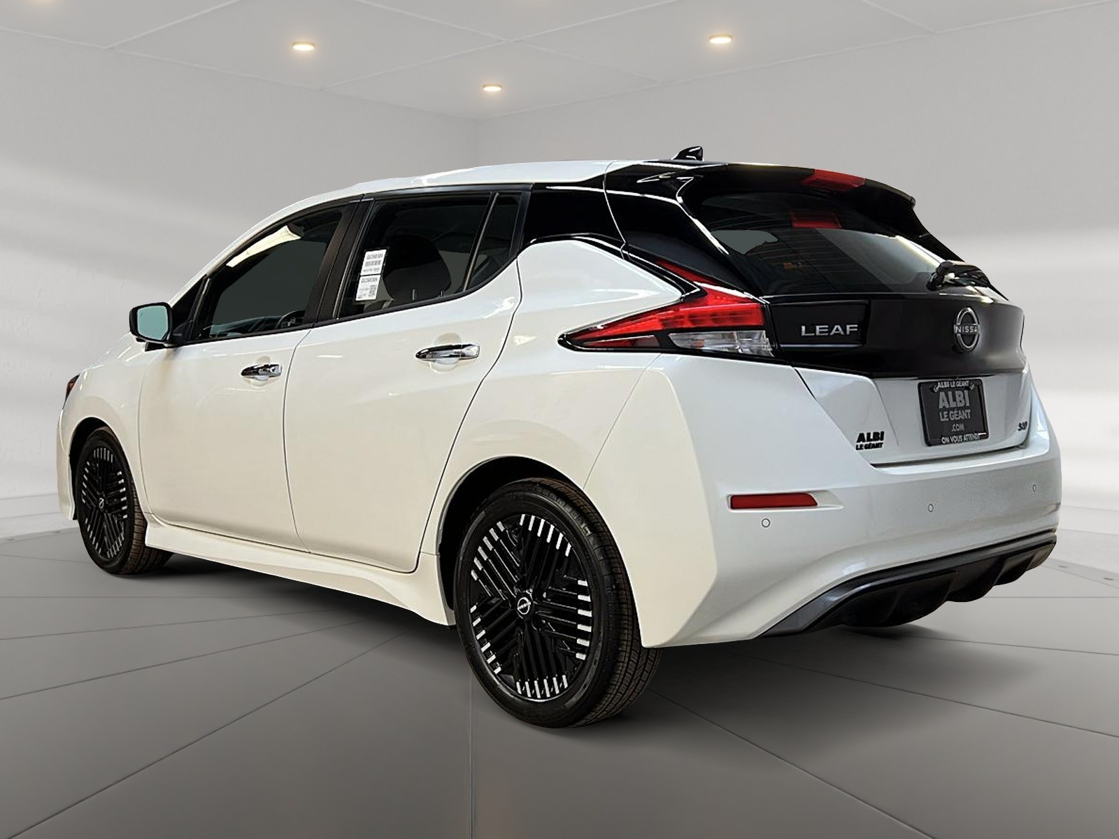 Nissan Leaf SV NAV 2024 — photo 6