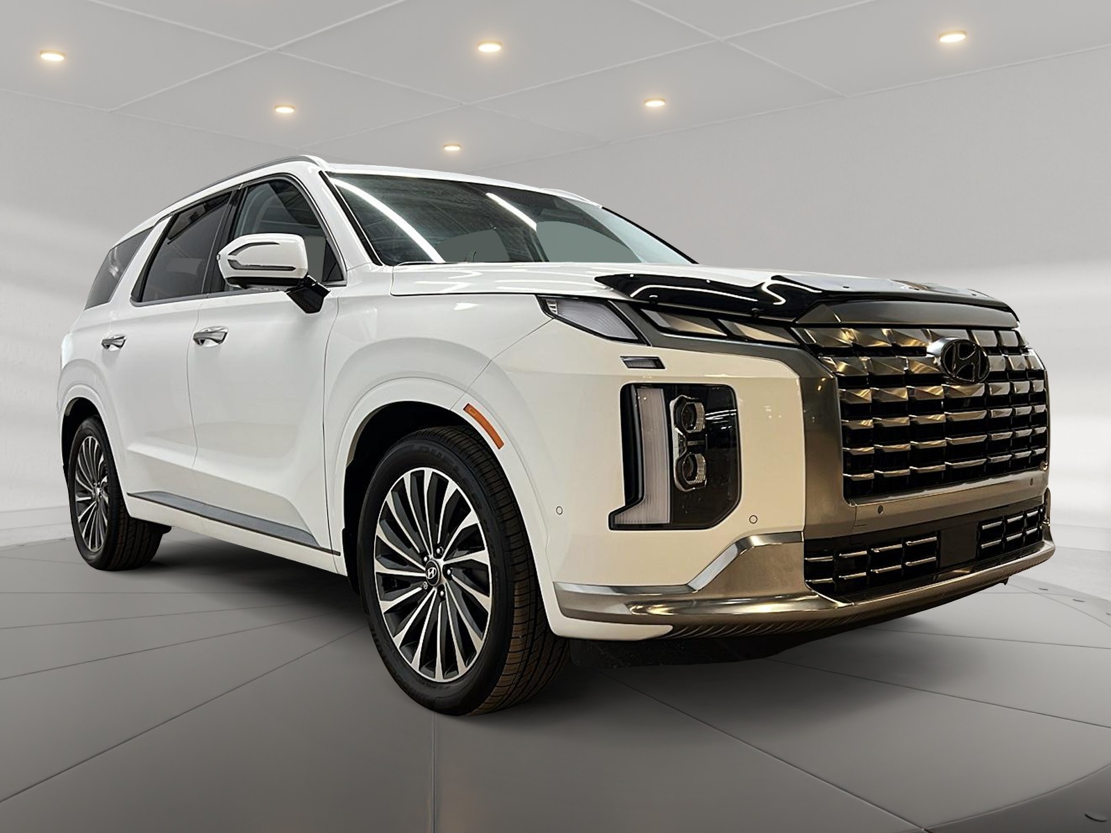 Hyundai PALISADE ULTIMATE CALLIGRAPHY CUIR TOIT PANO NAV 4RM 2025 — photo 3